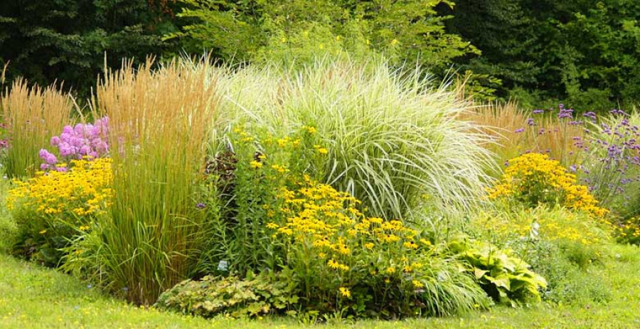 Gartenpflege